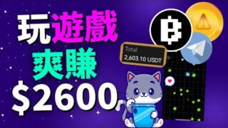 2024年下半年最赚钱的大毛！单号预估收益2000美金至3000美金！不容错过！幣安前高管創辦的手機賺錢項目 BLUM！手机赚钱APP