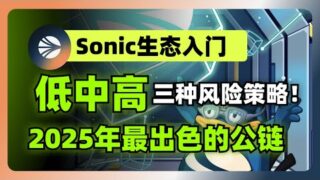 2025年最出色的公链——Sonic，深度解析低中高三种风险偏好参与方式