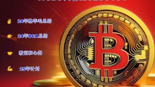 230 Web3—弘毅币圈投资24年撸毛总结（净利10万）、DCA总结、教训、心得及25年计划