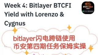 249 web3日报-因大家要求实操bitlayer闪电入金和币安钱包第四期活动保姆教程