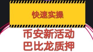 90-1 币安巴比龙质押实操