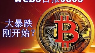 93 Web3日报—大暴跌，刚开始？
