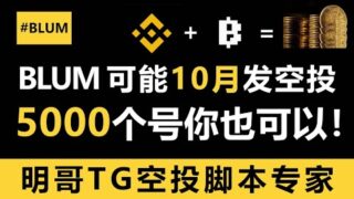 BLUM直接5000个号全军出击！复刻仓鼠冲刺近期最大毛！全网最强脚本帮你上百号千号！#blum  #空投教程 #空投 #空投项目 #airdropcrypto