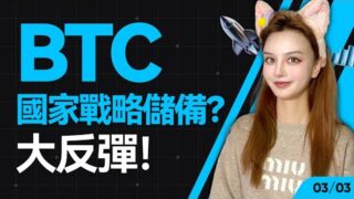 BTC國家戰略儲備？大反彈！#比特幣 #以太坊   #btc  #meme #加密货币 #crypto  丨3.03丨大漂亮的K線日記 丨