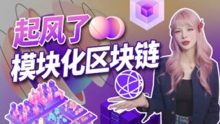 Celestia空投1億美元，看懂模塊化區塊鏈，未來十年風口！│加密大漂亮2023 #美股 #WEB3 #BTC