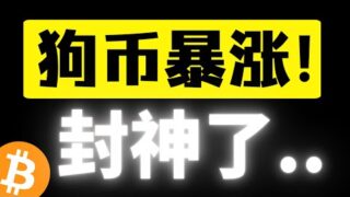 DOGE爆拉！持仓24小时暴涨45%！！最强马前炮策略，封神了！！0.2U公开明牌买入四十万U狗狗币！全力冲刺主升浪行情，恭喜所有粉丝朋友们，收获DOGE硕果!!