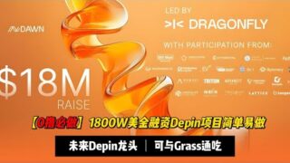 【0撸必做】1800W美金融资Depin项目DAWN，未来带宽分享类龙头，融资远超Grass处于早期阶段