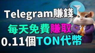 【不用看了!】 2024年12月15日，Hamster Bank宣布破産 (投入的100 $TON已經成功回本)