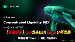 【老高说币】Sui龙头DEX—Cetus分析思路 | Aptos&Sui 链必用Swap