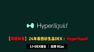 【项目科普】24年最火衍生品DEX：Hyperliquid | 链上0 Gas体验丝滑，海外爆火