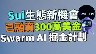 【Sui上的掘金機會】Swarm Network 能否成下一個風口？他們和 Google Cloud 有合作？已成功完成 300 萬美元的融資！有什麽方式早期參與 Swarm Network？
