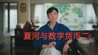 人物4 夏河谈数字货币二，70%不认同