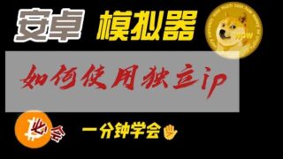 保姆级教程：一分钟学会如何在安卓模拟器上使用独立ip