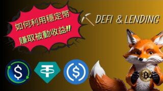 別讓你的USDT放在交易所發呆! 如何用穩定幣賺取被動收益! (1.5倍) Base OP Sui