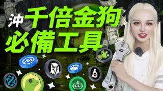 土狗萬倍漲幅！本輪牛市最賺錢的利器！#meme  #solana  #eth #web3