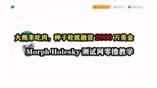 大概率吃肉，种子轮就融资2000万美金，Morph Holesky测试网零撸教学 #区块链 #空投教程 #赚钱项目
