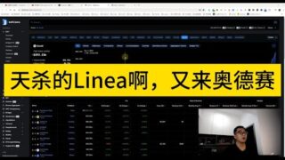 天杀的Linea啊，又来奥德赛啊！！！最近半个月，在整理链上资金，搞到Scroll，Base上，项目交互思路。