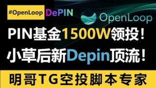 小草之后下一个Depin大毛OpenLoop上线！还不快用脚本100个号挂机撸起来1？反正又不用钱0撸，而且有PIN领投的1500w美金，又一个发财机会来了！#空投 #空投教程 #openloop