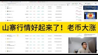山寨行情好起来了！老币大涨；这种情况下，怎么能赚到钱呢？一起讨论下。