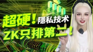 幣圈必修課《隱私計算》百億賺錢機會！#zk #fhe #web3