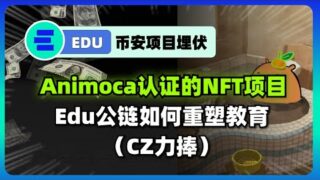 抢占先机：Animoca背书的Edu公链NFT，教育未来的钥匙——Capy friends