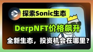 探索Sonic生态：derpNFT暴涨背后的故事，这些NFT项目值得关注！