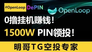 新机会！Depin新火爆项目OpenLoop上线！100个账号脚本撸起来！没有成本，0撸，继小草之后的下一个超级大毛没跑了！#空投 #depin #空投教程