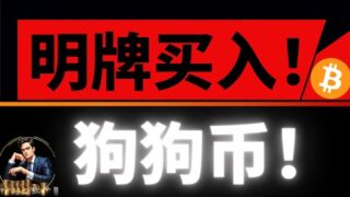 比特币千万实盘第一人！！！公开明牌买入，爆赚一百三十万U！降维打击，全网一个能打的都没有！ 欧阳再次明牌买入四十万U狗狗币！全力冲刺主升浪行情