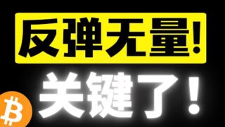 比特币反弹无量，102000美元成短期压力，关键了！不站稳只能高空！欧阳福利红包在路上！比特币行情分析