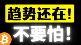 比特币趋势还在！不要怕，超跌反弹到来！逢回调入场，低点只会逐步抬高！恐慌情绪已经过去，不要被洗下车，牛市下半场在路上！比特币行情分析
