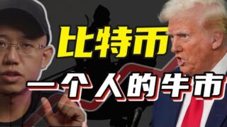 比特幣：一個人的牛市？#比特幣 #bitcoin #btc