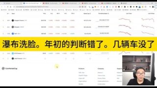 瀑布洗脸。年初的判断错了。亏得好惨啊。看车展都没心情了，几辆车亏没了