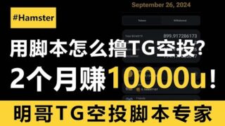 用脚本2个月赚10000u！为什么明哥说撸TG空投一定要用脚本？最干货的TG空投玩法逻辑，一定要看完！#空投 #airdropcrypto #hamsterkombat #仓鼠游戏 #脚本定制