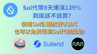 瘋狂暴漲的Sui究竟該不該買呢?｜使用USDC到Sui鏈上放貸也可以免費獲得Sui代幣｜分享個人對Sui的看法｜字幕｜