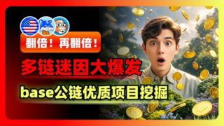 翻倍！再翻倍！多链迷因大爆发，base链一线优质项目挖掘
