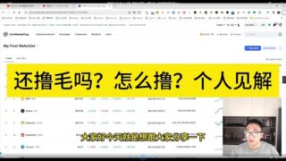 还撸毛吗？怎么撸？个人见解。跟着做过项目的一定要关注我。我会持续跟进项目进展
