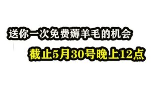 送你一次免费薅羊毛的机会，白捡500元