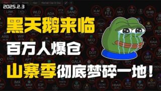 黑天鵝來臨，百萬人爆倉，期待的山寨季徹底夢碎一地！ 比特幣 以太坊 | 2.4 疾風交易 | #btc #eth #加密货币 #數字貨幣 #加密貨幣 #比特幣最新行情分析