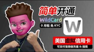 💯大陆用户可申请的美国信用卡，0月租0管理费💰｜免KYC🎉｜可微信支付宝充值&提现｜半价享ChatGPT Plus｜⭕️wildcard虚拟借记卡｜海外服务支付必备｜红孩儿redman