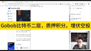 Gobob比特币二层质押拿积分。埋伏大毛空投。老外团队，老外资本，比特币生态，可以格局一下。DYOR