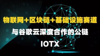 $IOTX：物联网赛道龙头，熊市期间由三星领投1000万美金的基础设施公链