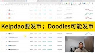 Kelpdao要发币；Doodles可能发币；牛市不要大资金质押