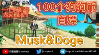 Musk&Doge免费游戏 | 20天白嫖100个Doge，一顿猪脚饭 | 避雷针撸毛日记＃01 #白嫖 #撸毛 #撸空投