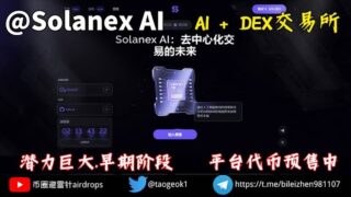 Solanex AI人工智能驱动的链上交易所 | 潜力巨大.早期阶段 | $SOLDEX平台代币预售中 #solana #Solanex #IDO