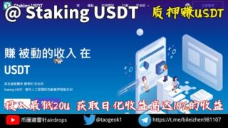 Staking USDT质押赚U | 投入最低20U 获取日化收益高达10%的收益 | 5-10天回本！  #质押 #赚钱小项目 #网赚项目 #资金盘 #资金