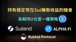 Sui生態｜持有穩定幣在Sui有甚麼賺取收益的機會?｜字幕｜