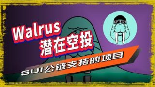 Walrus空投|SUI公链旗下的去中心化存储网络项目Walrus 推出了公共测试网,参与早期活动，未来有获得空投的机会，潜力空投 🪂  🪂