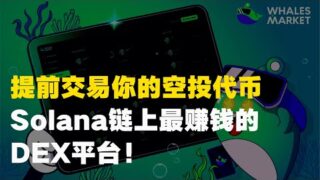Whales market：Solana上最会赚钱的DEX！代币价值被严重低估了！！