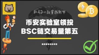 $WOM 币安实验室投资，BSC链上交易排名第五的超级被低估项目
